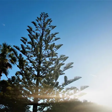 Konukevi Silver Seahorse Garden Retreat 4*