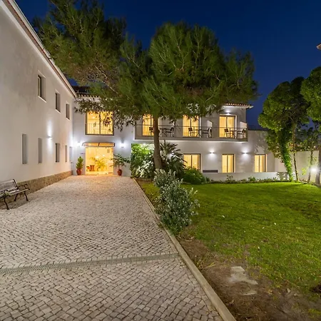 Silver Seahorse Garden Retreat