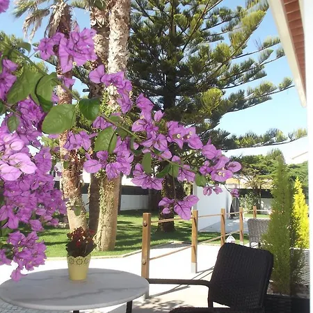 Silver Seahorse Garden Retreat אנטוגויה דה באלייה