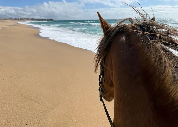 Silver Seahorse Garden Retreat Maison d'hôtes
